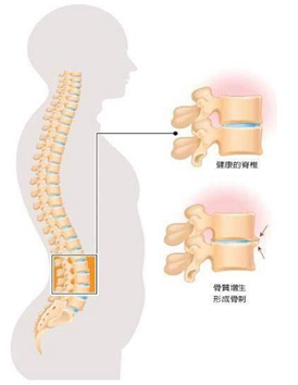 成都中医药大学针灸学校