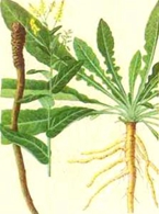 眉山药科职业学院有哪些专业 眉山药科职业学院有哪些专业