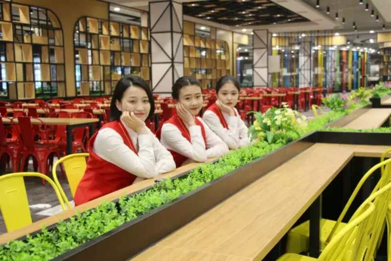 报读成都郫县铁路学校有哪些要求_成都高铁学校招生