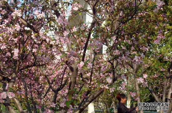 重庆市医药科技学校寝室宿舍条件与学校食堂环境